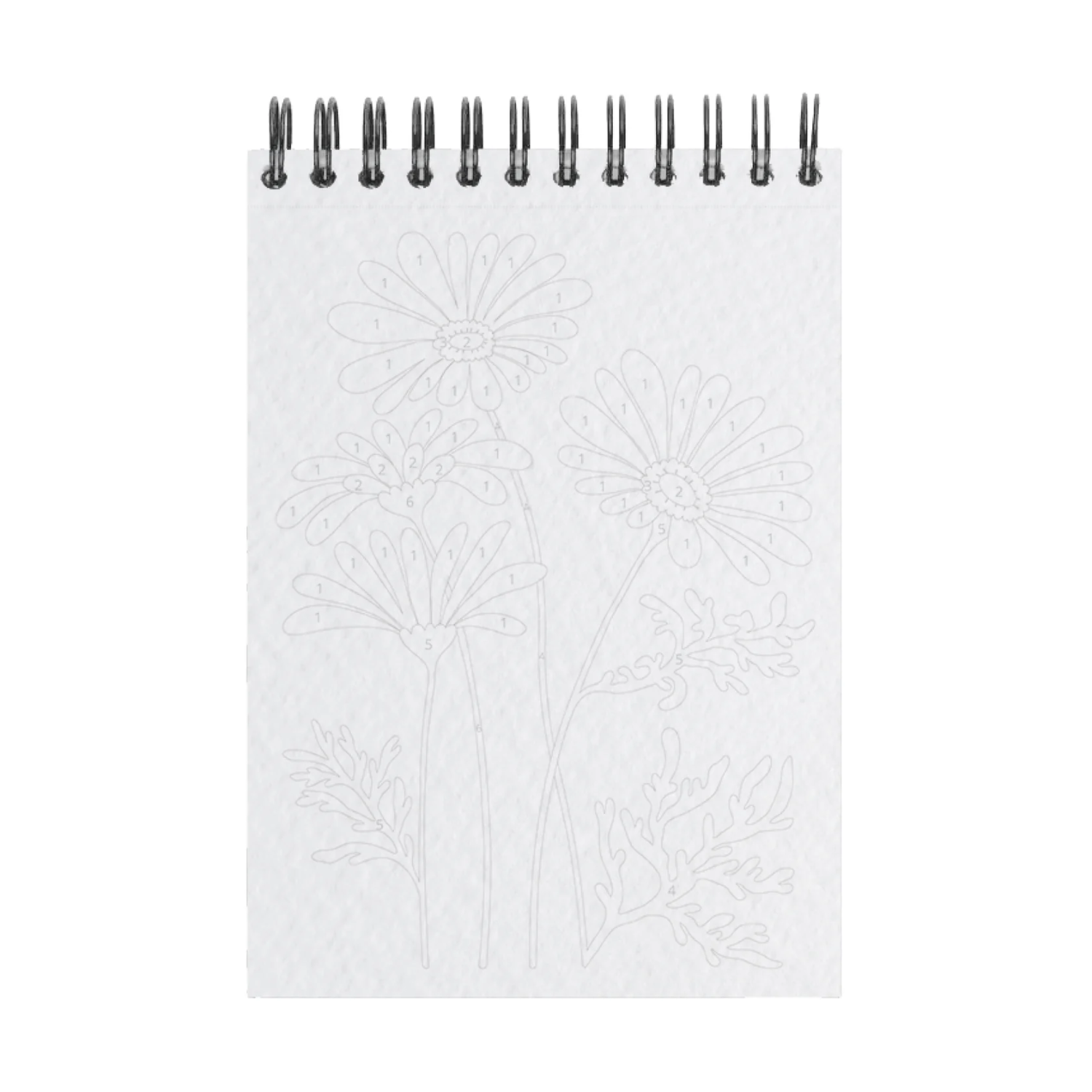 Peinture aux numéros - Fleurs des champs - Maison Joliette