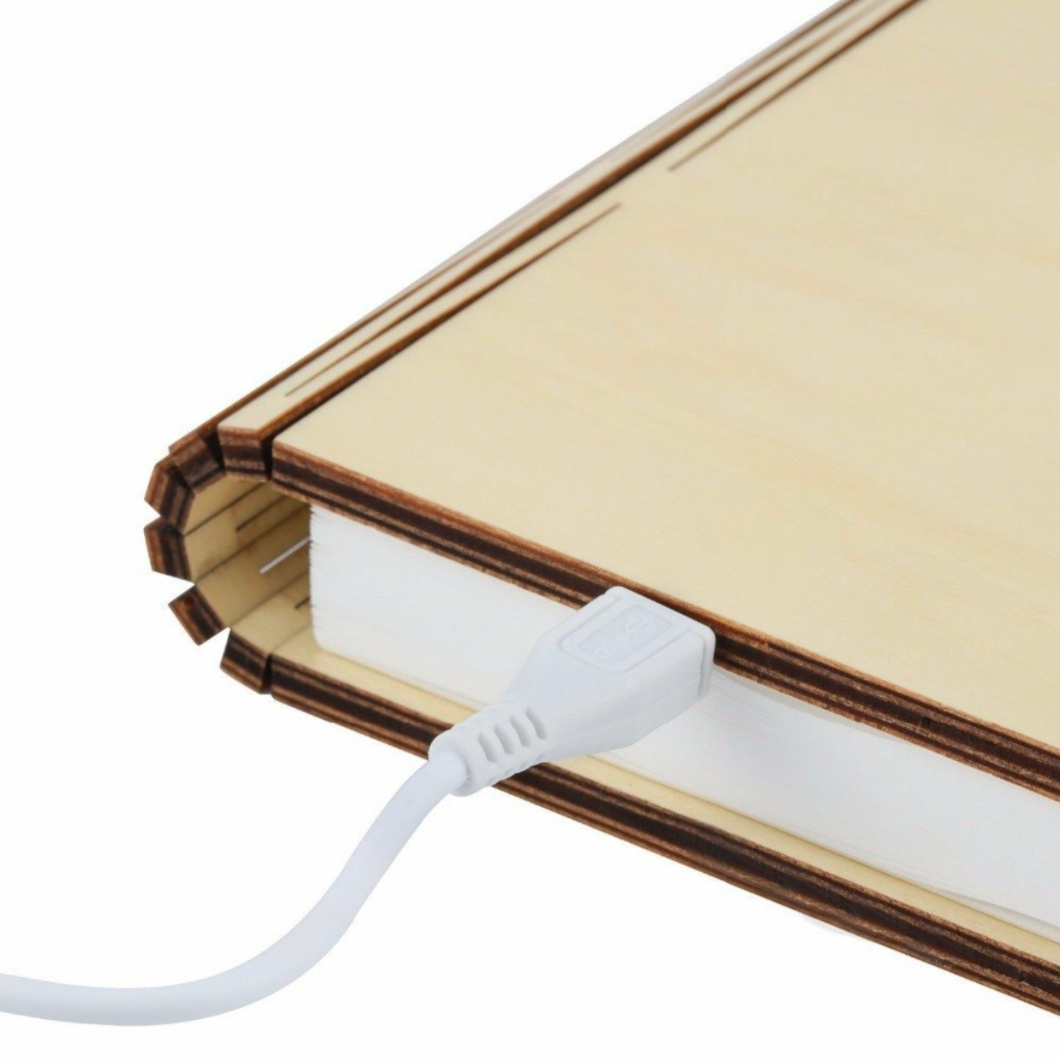 Lampe livre en Cuir