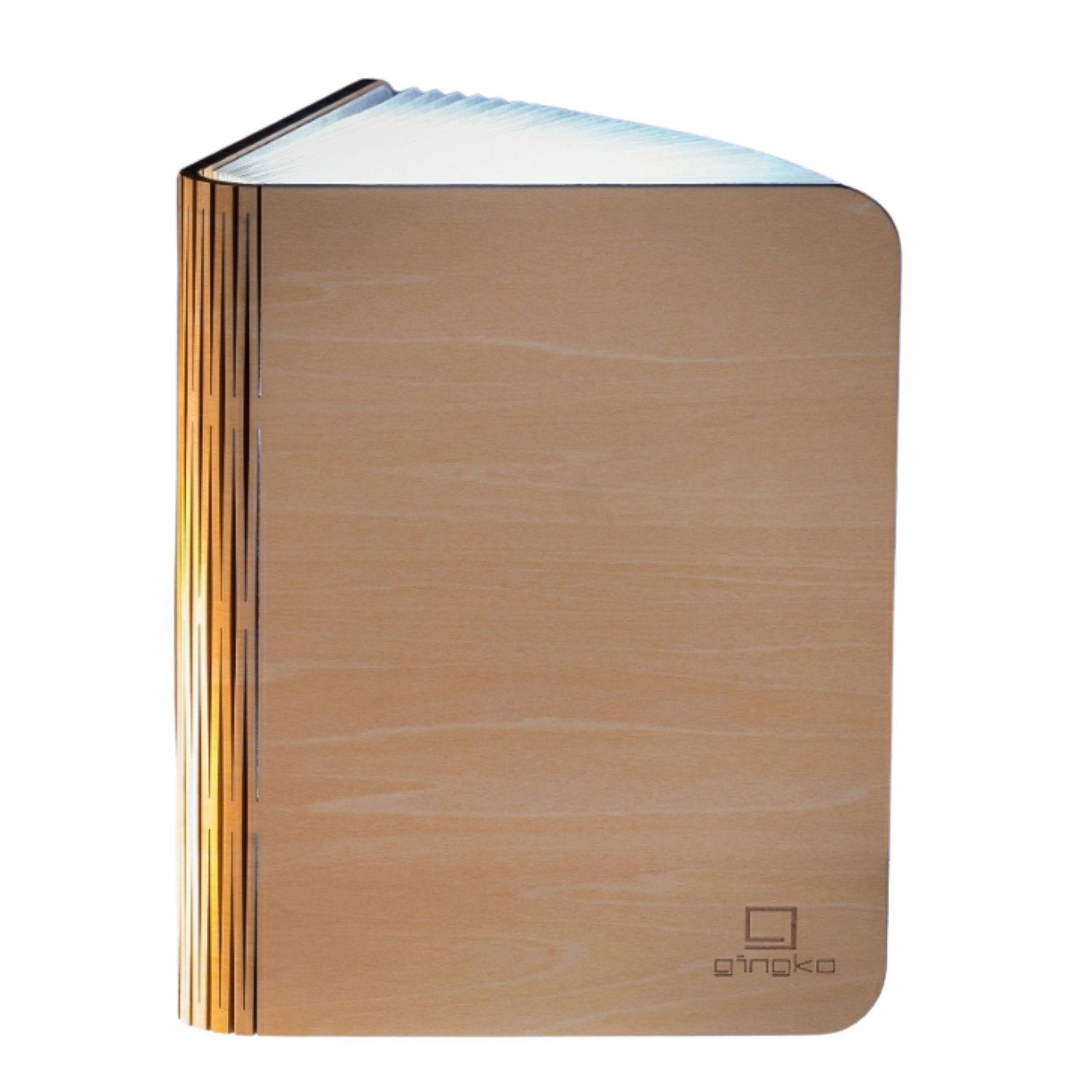 Lampe livre en bois naturel